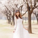 수컷스튜디오 이미지