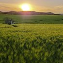 녹색농원 이미지