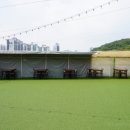 댕글라이프 이미지