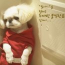 맥 이미지