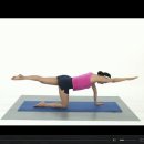 등 근육 강화와 복부 강화 그리고 균형 감각을 향상 시켜 주는 - 백 스트랭스너 (Back Strengthener) 이미지