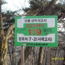 말턱고개 Daum카페
