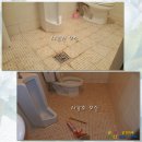 늘푸른꿈 이미지