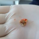 닥터신치과의원 이미지