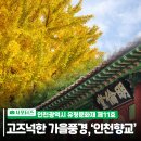 인천향교.인천도호부청사(37125) | 🍂 가을에 떠나기 좋은 곳, 인천향교