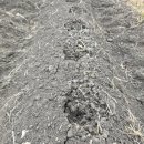 갓골농장 이미지