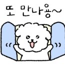 하이댕댕 이미지