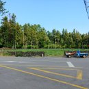 표선 교차로 2 이미지