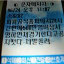 피파 공식 홈피에 24시간안에 500만명 이상 서명하면 살라 골 취소 된다고 합니다 이미지