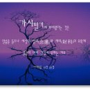 가시로13