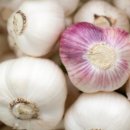 연세으뜸정형외과의원 이미지