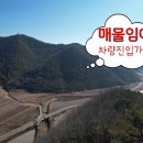 경북 안동시 국유림을 접한 194,777m2 임야 이미지