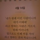 허니쿨쿨 이미지
