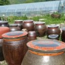 태평농장 이미지