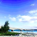 M.J 휘트니스 | 오키나와 국제거리 콜렉티브호텔 숙소 가족여행 추천 내돈내산