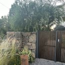 제주히든풀빌라 | 제주도 감성 숙소, 아이를 위한 독채 풀빌라 더히든눅