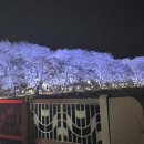 읍내로6길 이미지