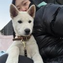 가평 베이스 캠프 펜션 이미지