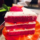 슬로우터틀 이미지