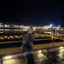 장지공원 터널 옆 화장실 | 대구 가볼만한 곳 옥연지 송해공원 크리스마스 산타마을 야경 후기 주차 꿀팁