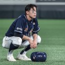 리틀미 이미지