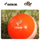 에이치에스 글로벌 이미지