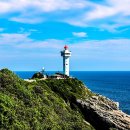 거문도식당 이미지