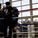 유렌트카 이미지