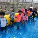 상록어린이집 이미지