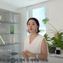 컬렉터의 집
