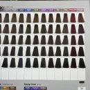 가이아 | 광주미용실 전체염색 톤다운 퍼스널컬러 상담 받고 대만족 가이아헤어 첨단점 후기