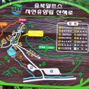 충북알프스자연휴양림 이미지