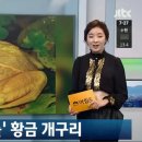 황금개구리 이미지