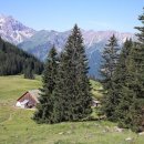 피넛호텔 이미지