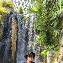 거제식물원 이미지