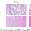 오션동물메디컬센터 네이버블로그