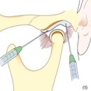 서울아산이치과의원 이미지