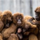 영성농장 | 애니멀 커뮤니케이터- 동물 마음 행동을 알고 싶다면?