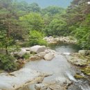 삼성식당 이미지