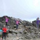 향로산자연휴양림 이미지