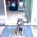 티스테이션 부개점 이미지