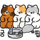 글라스미렌즈미 의정부행복로점 네이버블로그