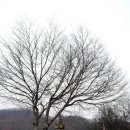 양지공원가든 이미지