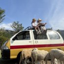 현지목장 이미지