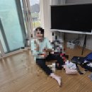 외간정글돔하우스