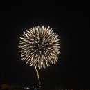 한강 불꽃 축제 사진 ``2 이미지