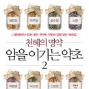 법무법인중용