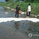 남양1천 이미지