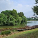 장자호수생태공원 | (경기 구리) 장자호수공원 - 장자호수생태체험관, 산책로, 황토길, 장미공원