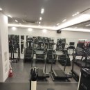 뉴 라이프 짐 이미지